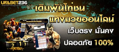 ไก่ชนแทงมวยสไลด์