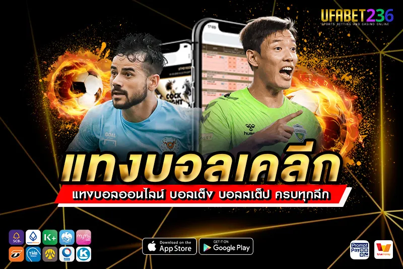 แทงบอลเคลีก UFABET236 ลีกเกาหลีใต้ครบทุกทีม ราคาน้ำดี แทงได้ทุกแมตช์