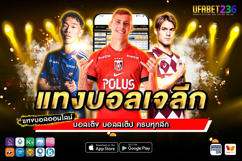 เคล็ดลับแทงบอลเจลีก UFABET236 วิเคราะห์ก่อนแทง ลุ้นกำไรได้ทุกคู่ในลีกญี่ปุ่น