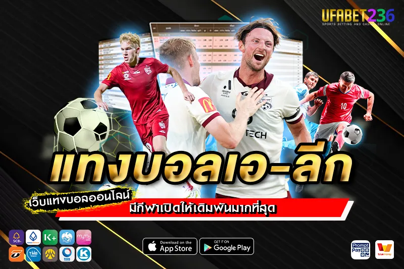 เมลเบิร์น ซิตี้ ทีมลุ้นแชมป์ A-League เหมาะกับ แทงบอลเอ-ลีก