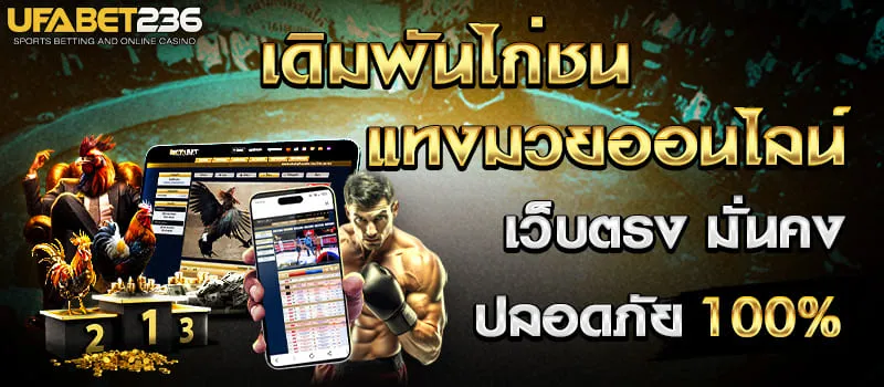 ไก่ชนแทงมวยสไลด์