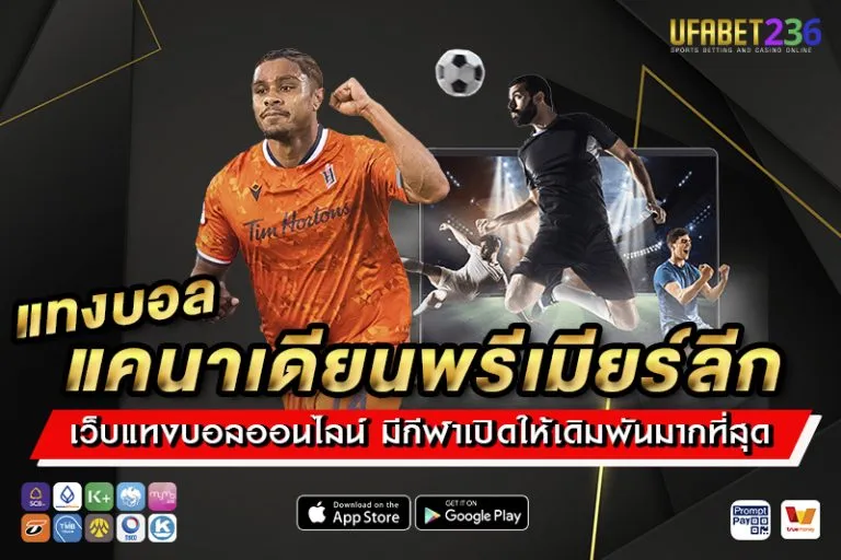 แทงบอลแคนาเดียนพรีเมียร์ลีก UFABET