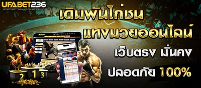 ไก่ชนแทงมวยสไลด์